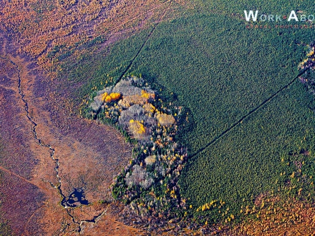 Aerial photo of fall scene north of Slave Lake, AB- 101002_0572