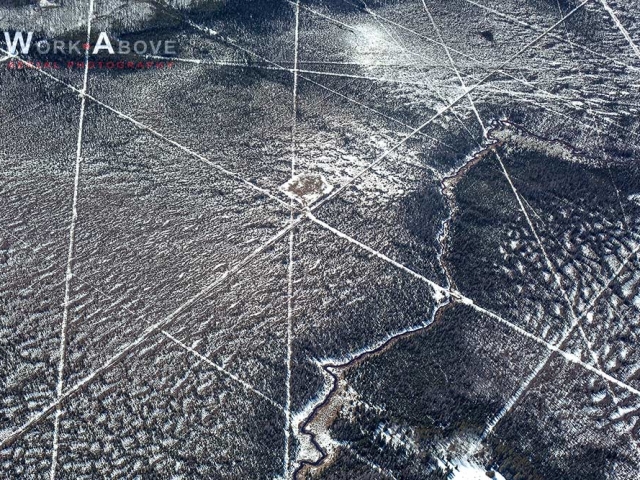 Aerial photo of seismic lines on snow